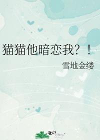 如果猫咪喜欢你