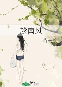 趁南风txt