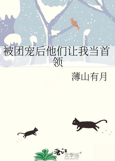 被团宠后他们让我当首领免费