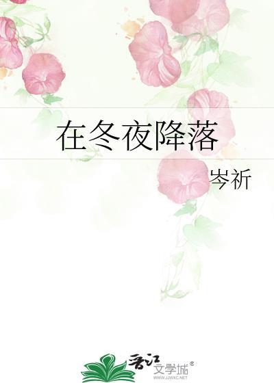 在冬夜降落舒冉