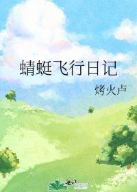 蜻蜓飞行日记txt