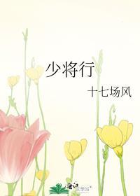 少将行新版