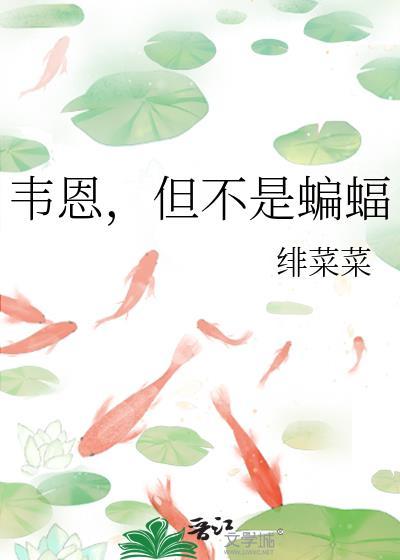 韦恩家的小蝙蝠