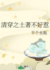 清穿之种田文