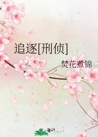 追逐啥意思