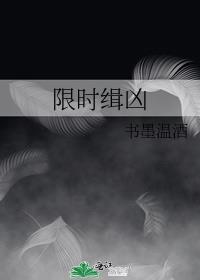 限时缉凶TXT百度资源