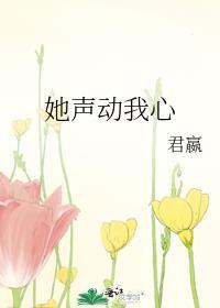 她声动我心晋江