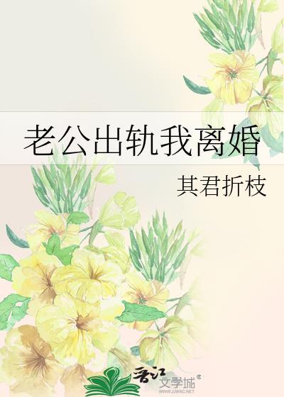 老公出轨我离婚其君折枝免费阅读