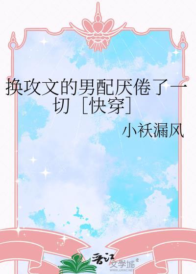 换攻是什么意思啊