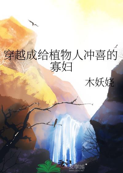 穿越成给植物人冲喜的寡妇大结局