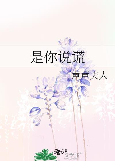 是你说谎声声夫人原著
