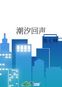 潮汐回声免费阅读许砚