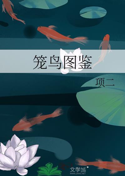 笼鸟图鉴项二