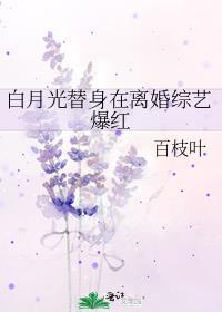 白月光替身在离婚综艺爆红百枝叶