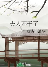 夫人不在打一字谜