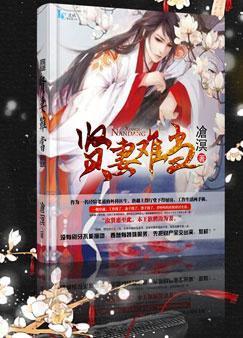 贤妻难当免费观看