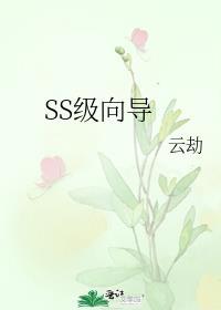S级向导设定