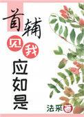 首辅见我应如是TXT