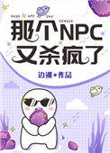 那个npc又杀疯了剧透