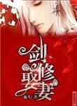 剑修娶妻 血儿讲的什么故事