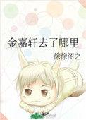 金嘉轩去了哪里2沉默之诗