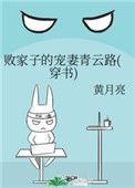 败家子的宠妻青云路(穿书) 黄月亮