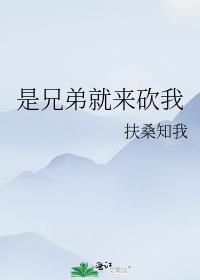 是兄弟就来砍我我是渣渣辉是什么时候的梗