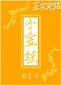 小金枝豫剧团团长是谁