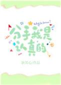 分手我是认真的! 耿其心
