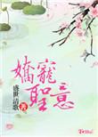 娇宠圣意 百度