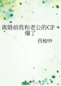 离婚前我和老公的cp爆了番外免费阅读