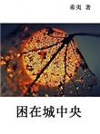 困在城中央 希夷