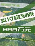 支付宝到账888万元 野田河