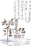 大婚当天准道侣跑路了全文免费阅读