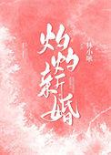 灼灼新婚短剧80至100集