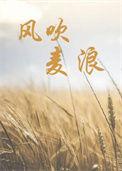 风吹麦浪电影在线播放