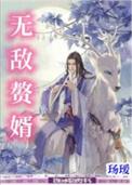 无敌赘婿玚瑷全文TXT