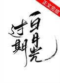 过期白月光自救指南TXT