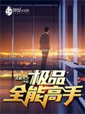 极品全能高手完结