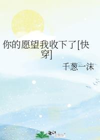 你的愿望就是我的愿望古文