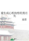 心机婊重生
