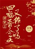 清穿之四爷的嫡福晋的