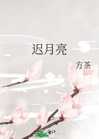 迟月亮方茶最新章节