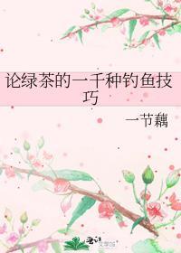 绿茶钓鱼线价格