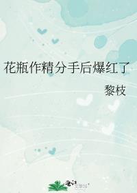 花瓶他成精了娱乐圈txt