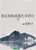 我在原始部落生存的日子资源
