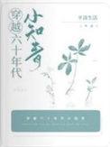 穿越六十年代小知青合集免费