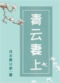 青云妻上讲的什么
