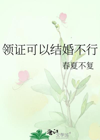 领证可以结婚不行女主董只只