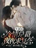冰冷总裁怀孕生子